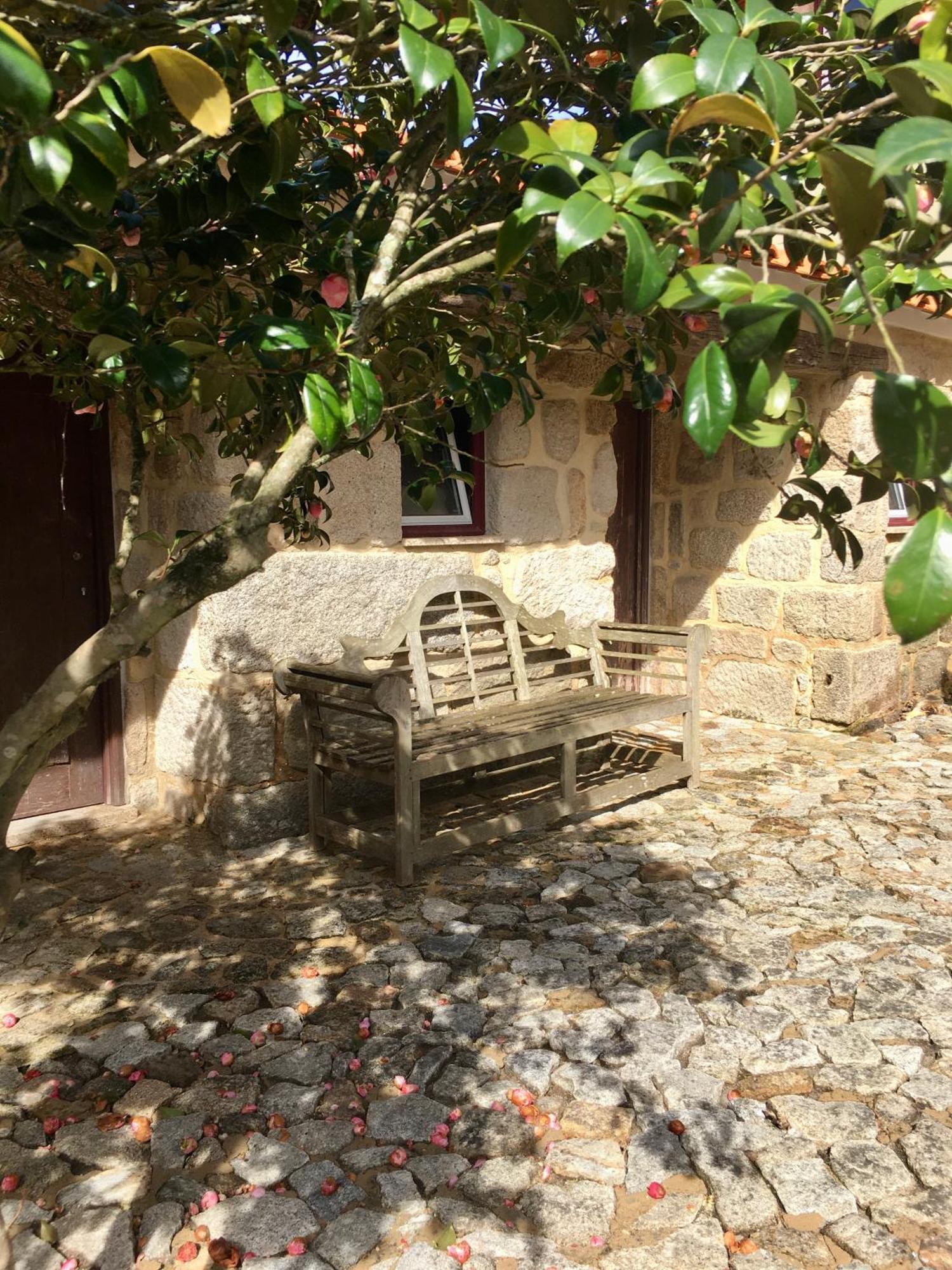 Hotel Quinta De Mocamedes - Turismo De Habitacao Vouzela Zewnętrze zdjęcie