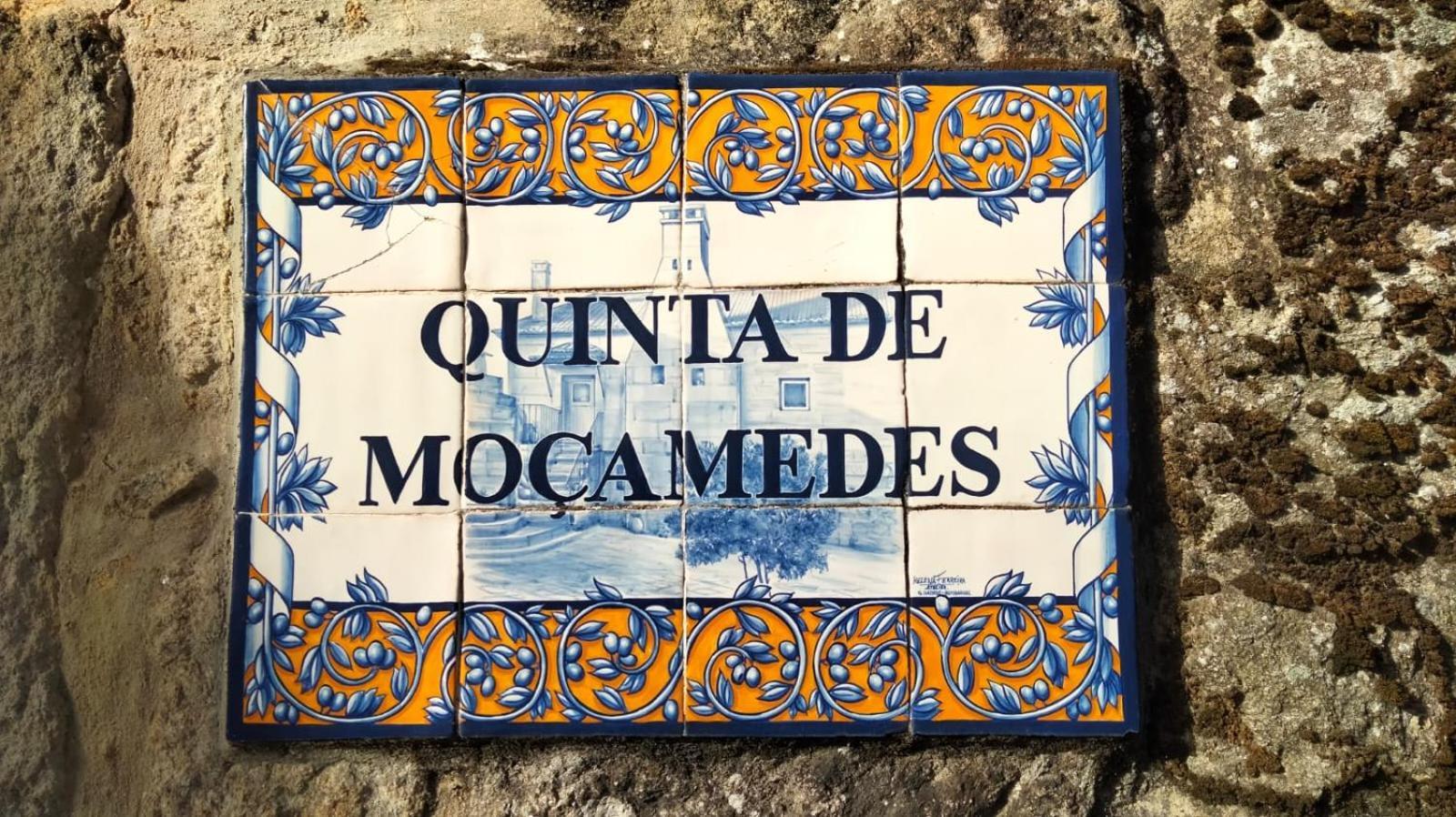 Hotel Quinta De Mocamedes - Turismo De Habitacao Vouzela Zewnętrze zdjęcie