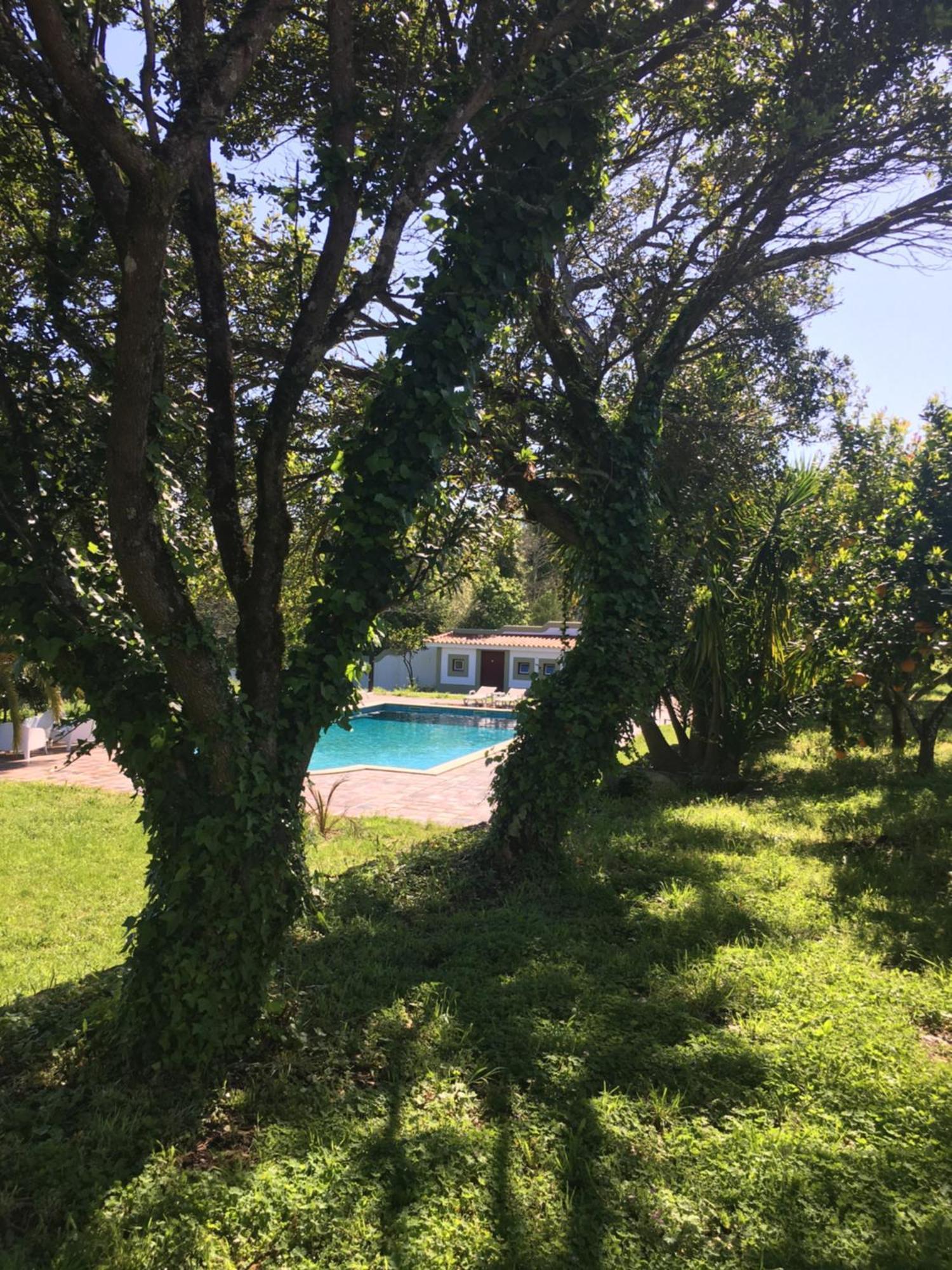 Hotel Quinta De Mocamedes - Turismo De Habitacao Vouzela Zewnętrze zdjęcie
