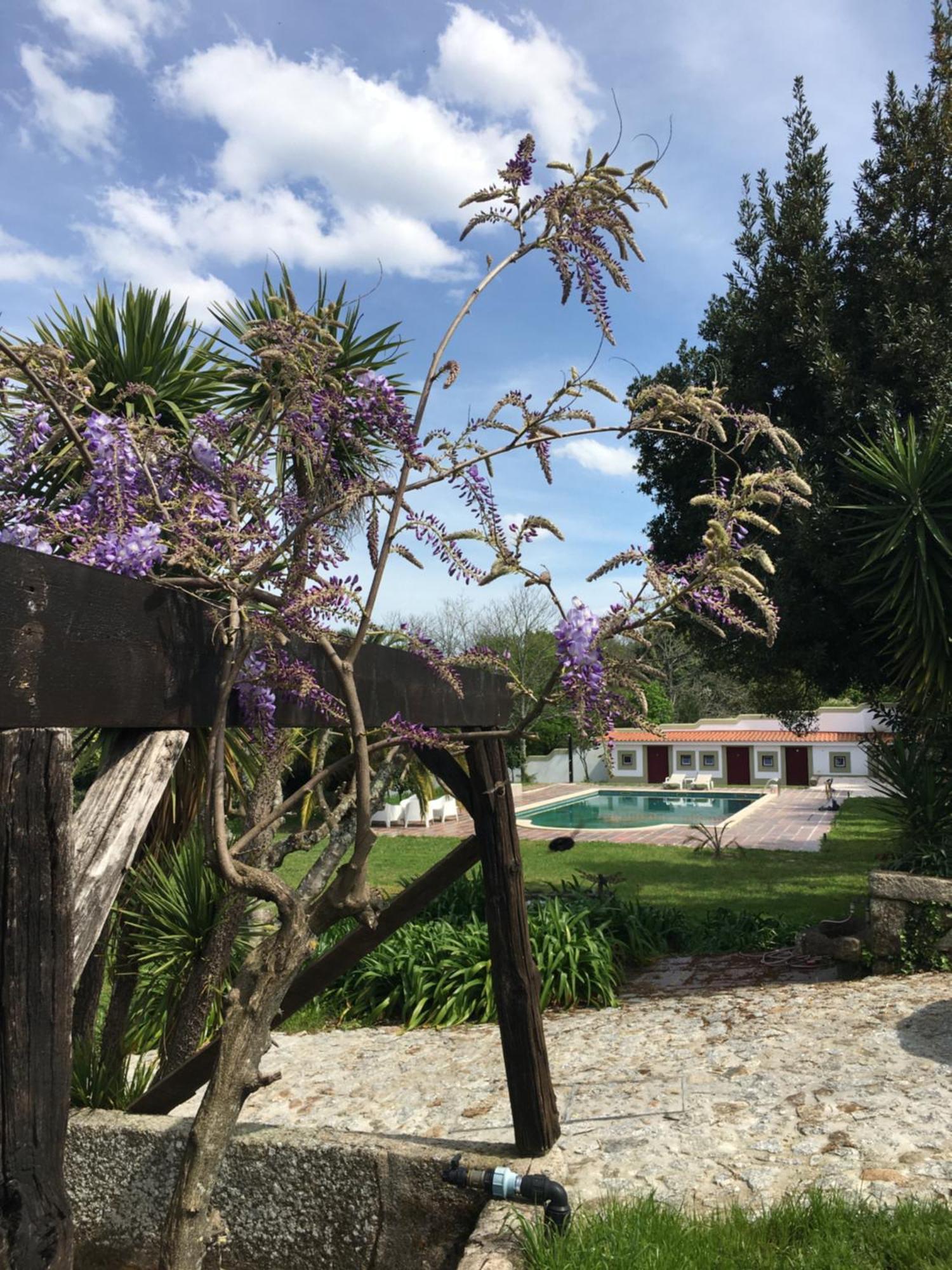 Hotel Quinta De Mocamedes - Turismo De Habitacao Vouzela Zewnętrze zdjęcie